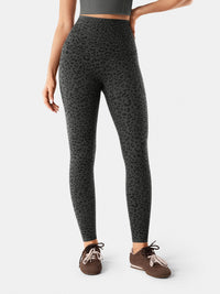 Gray Leopard